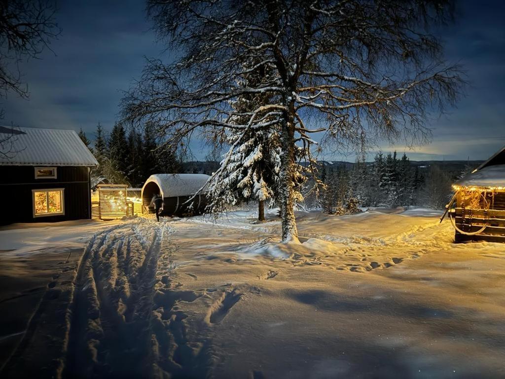Forest Cabin With Stunning Mountain View & Sauna Турсбю Экстерьер фото