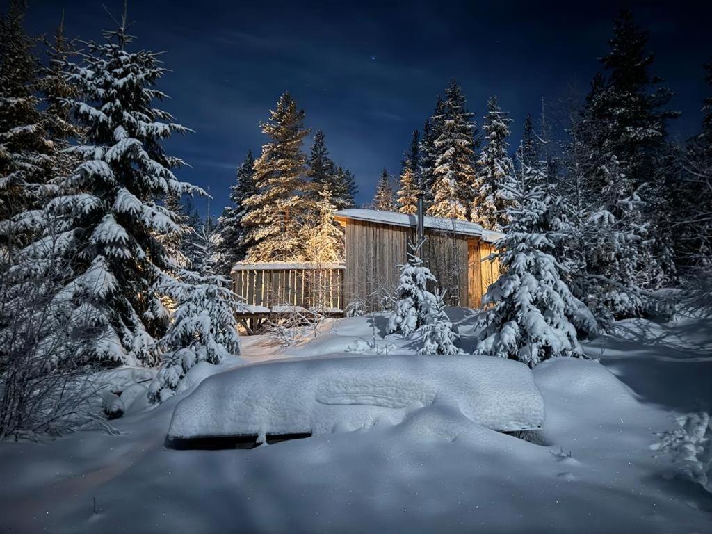Forest Cabin With Stunning Mountain View & Sauna Турсбю Экстерьер фото