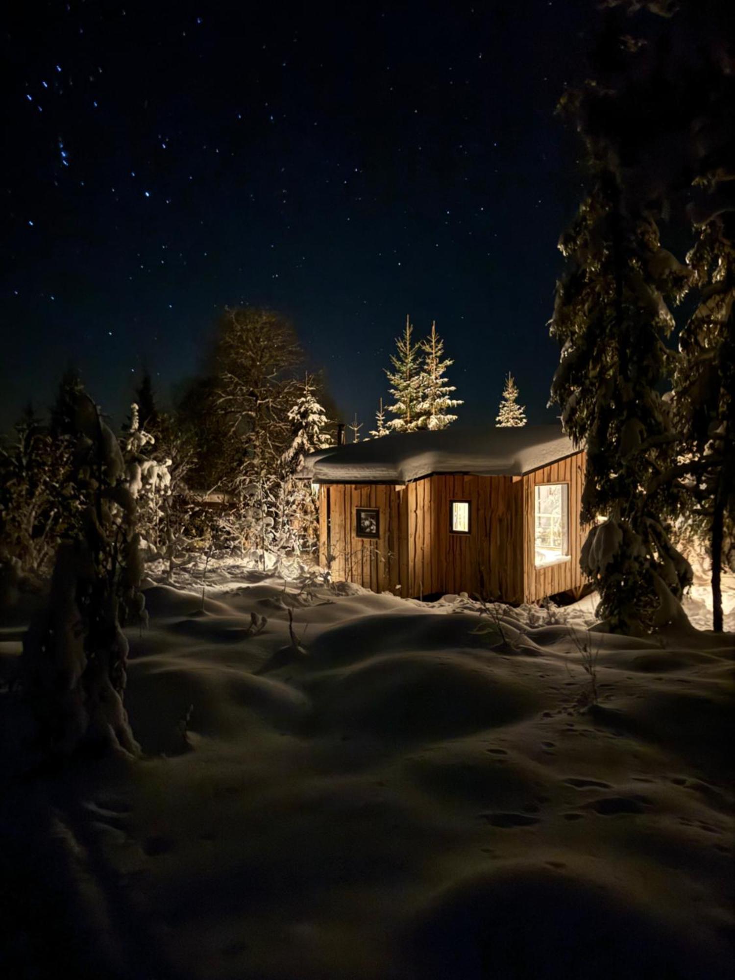 Forest Cabin With Stunning Mountain View & Sauna Турсбю Экстерьер фото