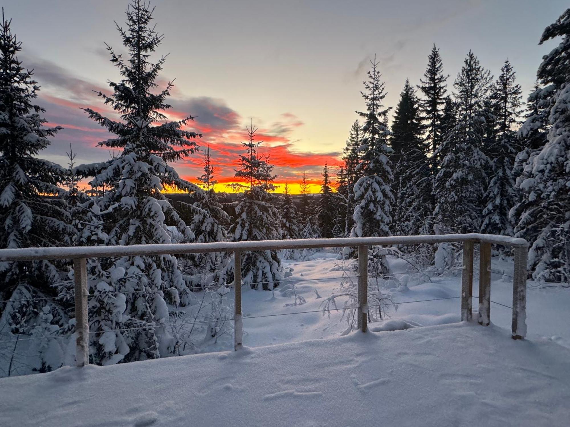 Forest Cabin With Stunning Mountain View & Sauna Турсбю Экстерьер фото